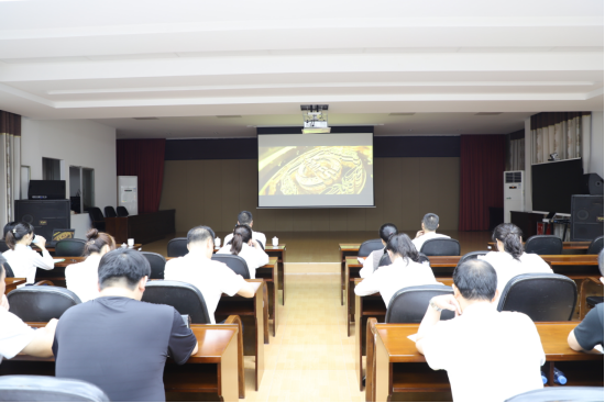 自治区烈士陵园（广西革命纪念馆）党总支部开展“祭英烈忆党史传承红色基因”主题党日活动1 (1)455.png